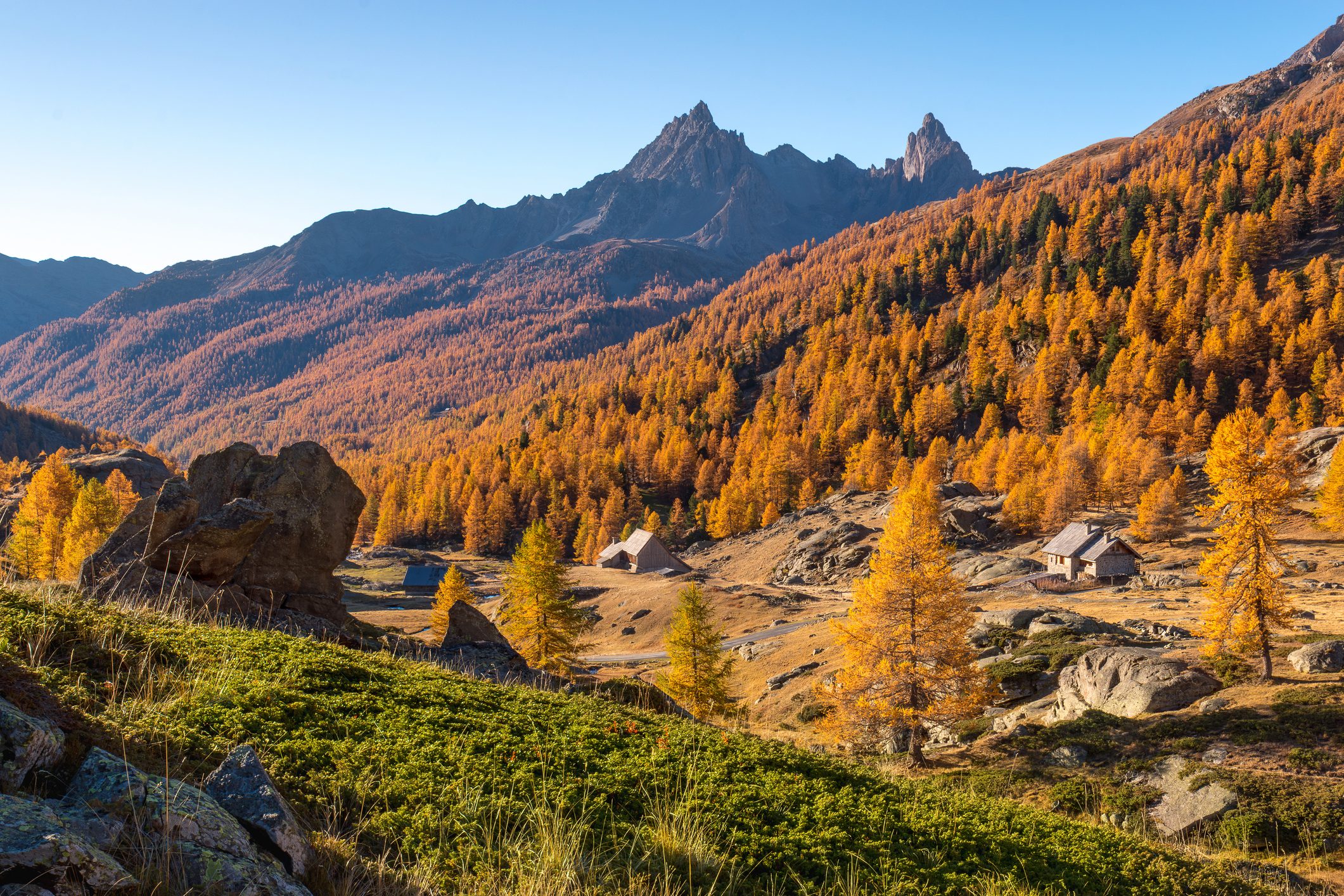 Home | GettyImages 1533207654 GettyImages 1533207654