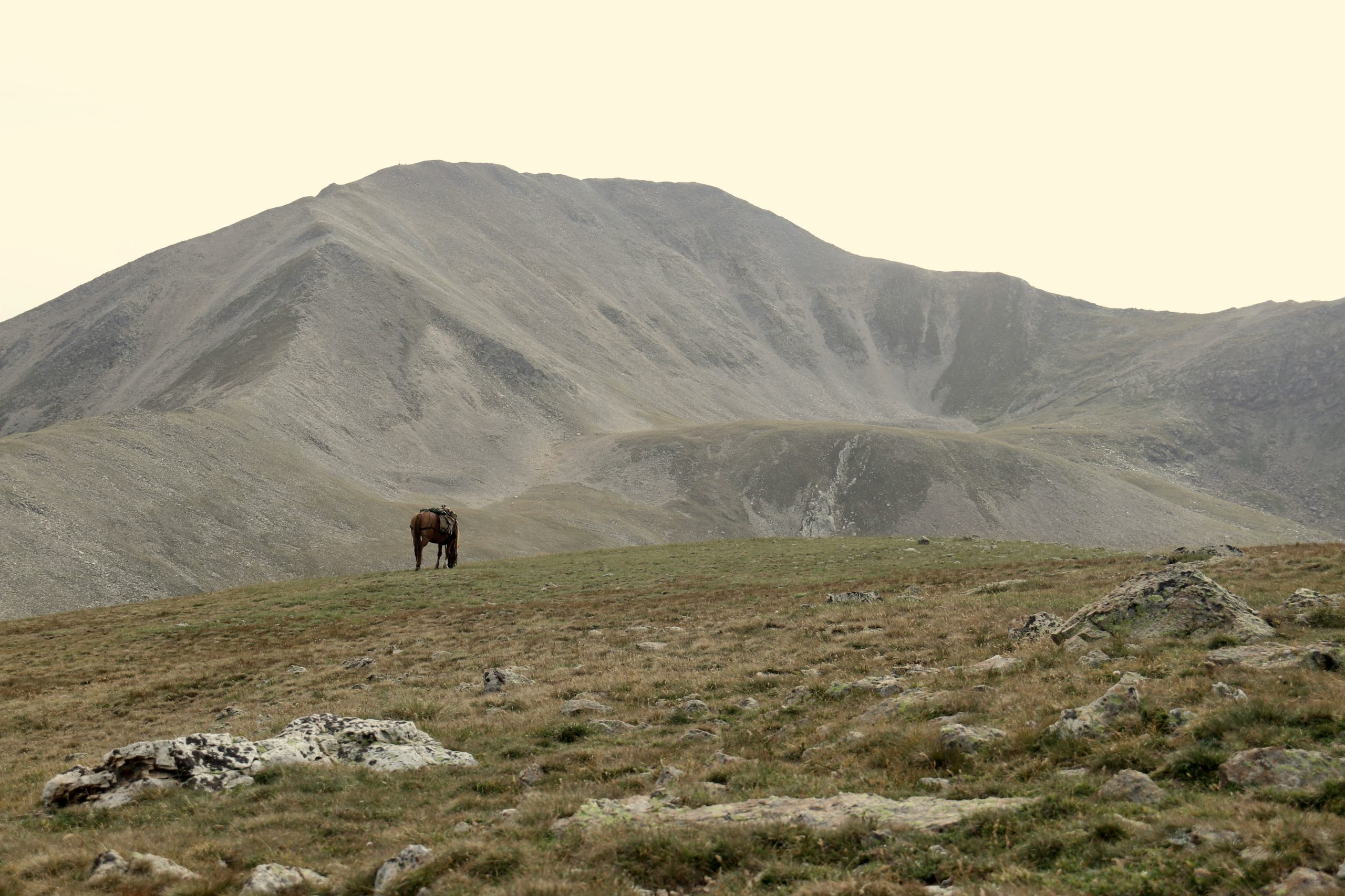 Montgenèvre | fabien maurin dfmaNNfdyjw unsplash scaled fabien maurin dfmaNNfdyjw unsplash scaled